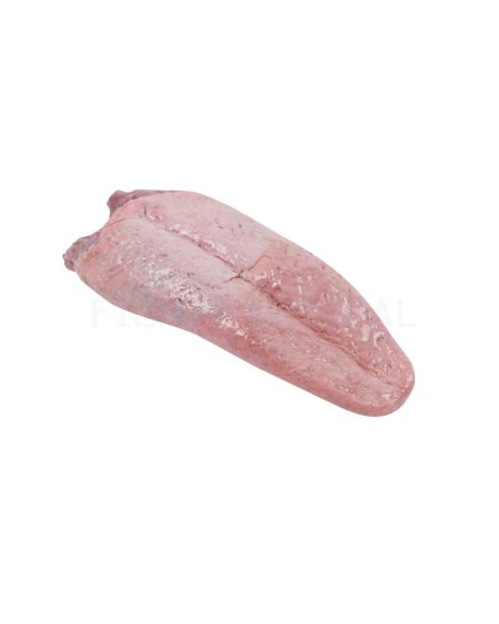 Fake Tongue